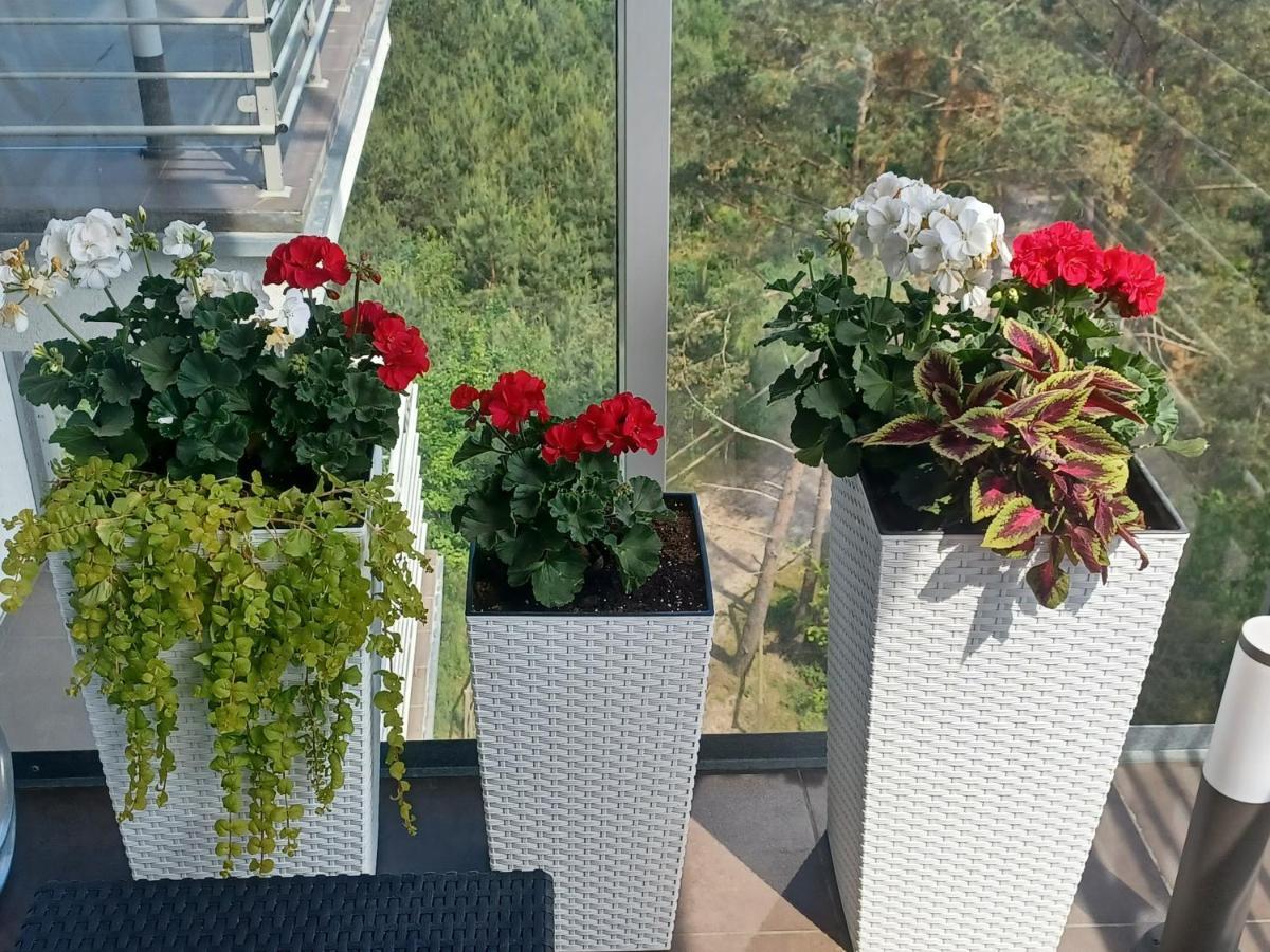 Apartament Z Widokiem Na Morze ジブヌベク エクステリア 写真