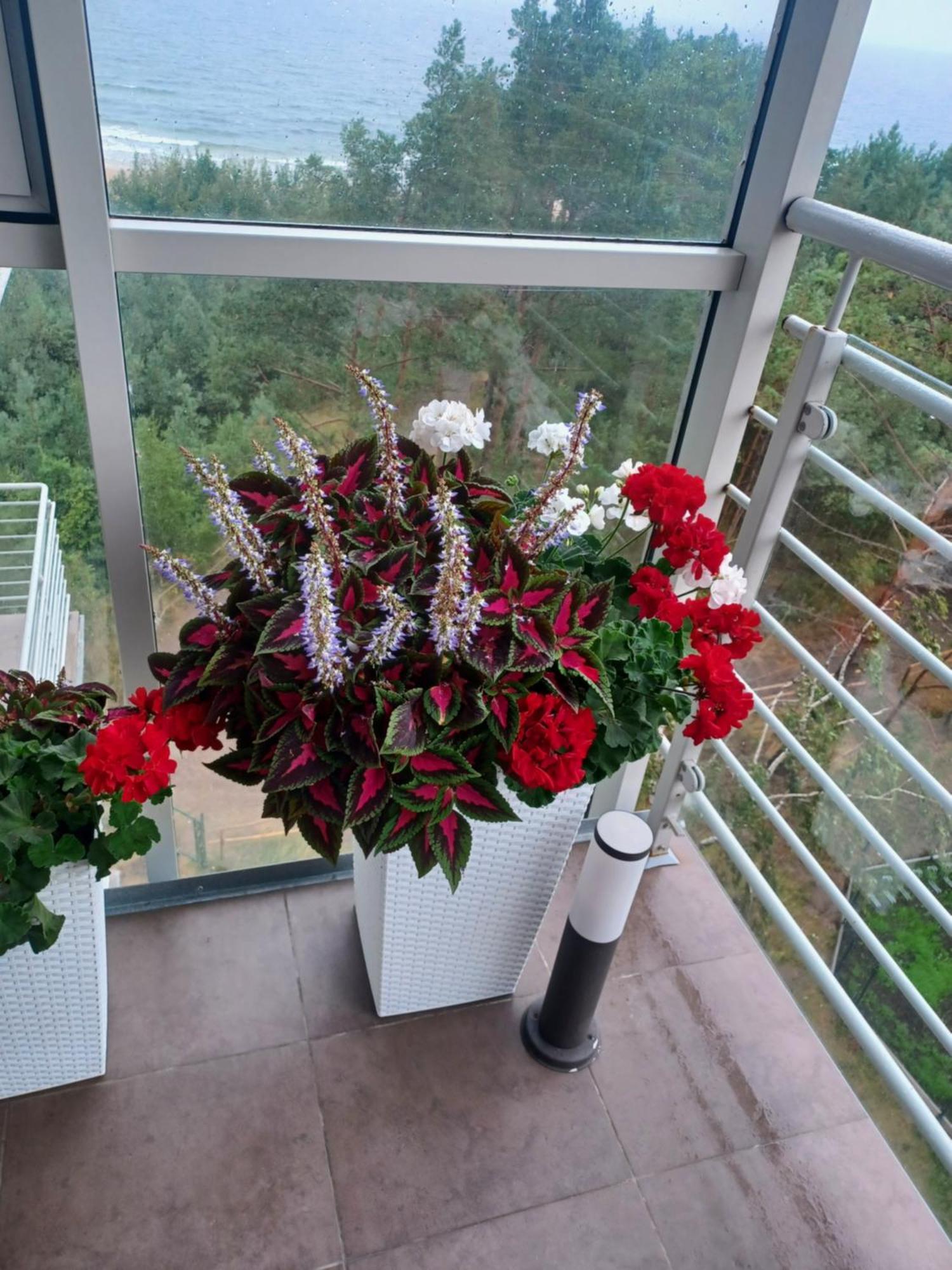Apartament Z Widokiem Na Morze ジブヌベク 部屋 写真