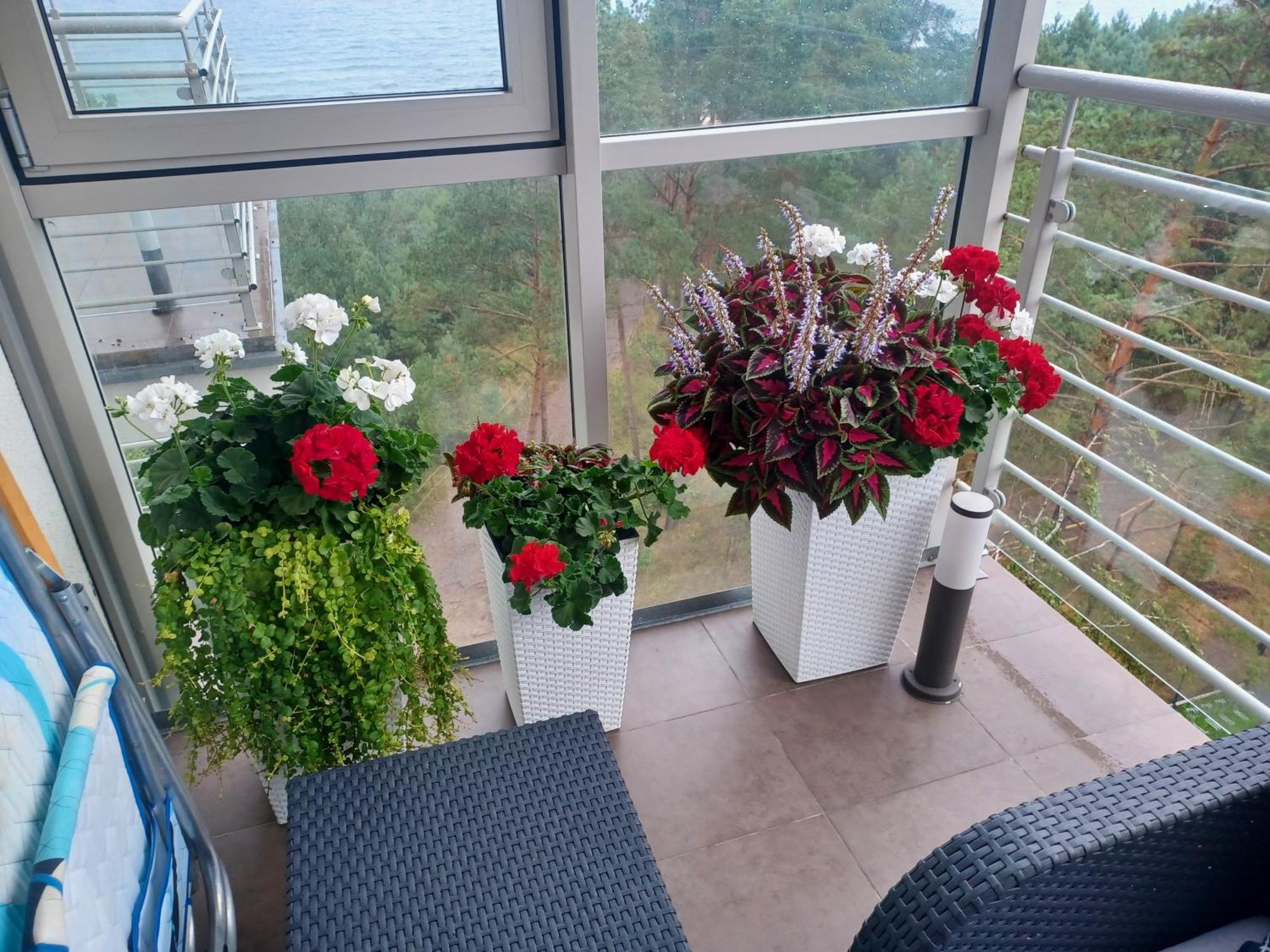 Apartament Z Widokiem Na Morze ジブヌベク 部屋 写真